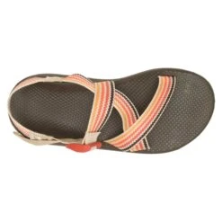 Chaco Men's Z Cloud Sandal - Scoop Dusk - Regular (D) -Sports Clothing Sale Store CHAM JCH108677 012422 S23 TOP 1