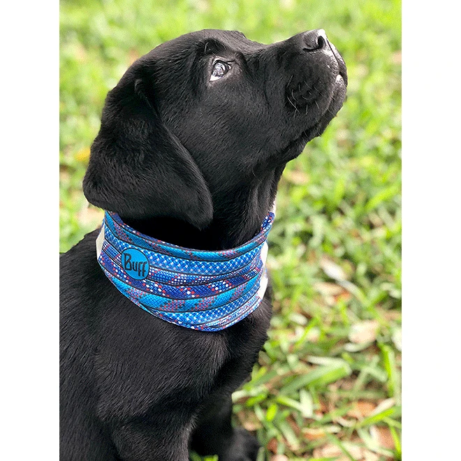 Buff Dog Insect Shield Neckwear - Bone Camo Green 4 Buff Dog Insect Shield Neckwear - Bone Camo Green - Image 2