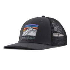 Patagonia Unisex Line Logo Ridge LoPro Trucker Hat - Ink Black
