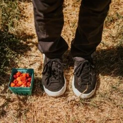 Men's X-Scape NBK Low Sneaker - Black/White - Regular (D) 20 Men's X-Scape NBK Low Sneaker - Black/White - Regular (D) -Sports Clothing Sale Store mens x scape nbk low black white ls 1 800x 3a6d1a12 7fd3 4c79 ac9d 13c24d0fd9ec