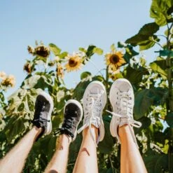 Women's X-SCAPE NBK Low Sneaker - Blanc/Light Grey - Regular (B) 20 Women's X-SCAPE NBK Low Sneaker - Blanc/Light Grey - Regular (B) -Sports Clothing Sale Store womens x scape nbk low blanc light grey ls 3 800x 70e971bc eee0 4189 bdde 434a0688a562